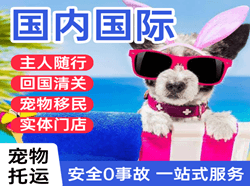 舟山普陀山航空快递国际宠物托运 【国